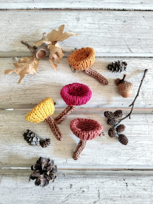 Spille funghi finferli - immagine 8
