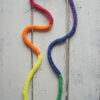 I Cordoncini, bandiere LGBTQIA+ - immagine 11
