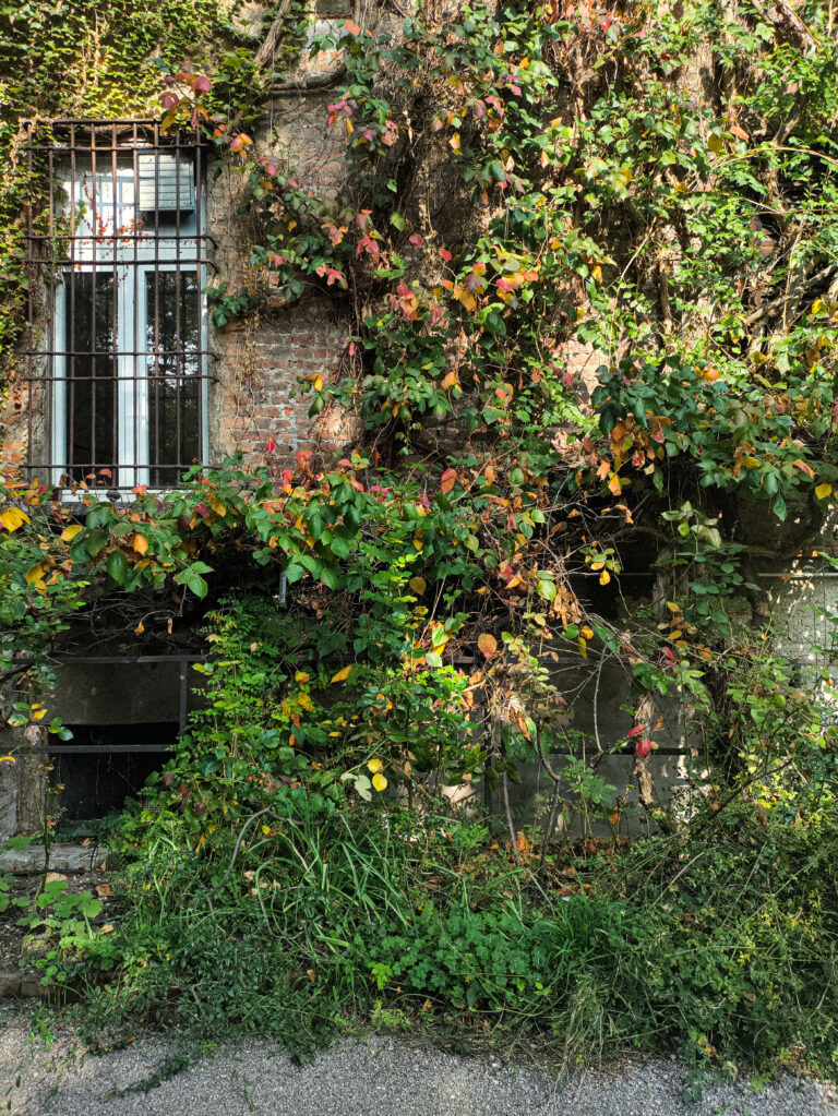 Orto Botanico di Brera, Ottobre, Piccolo Diario di Viaggio